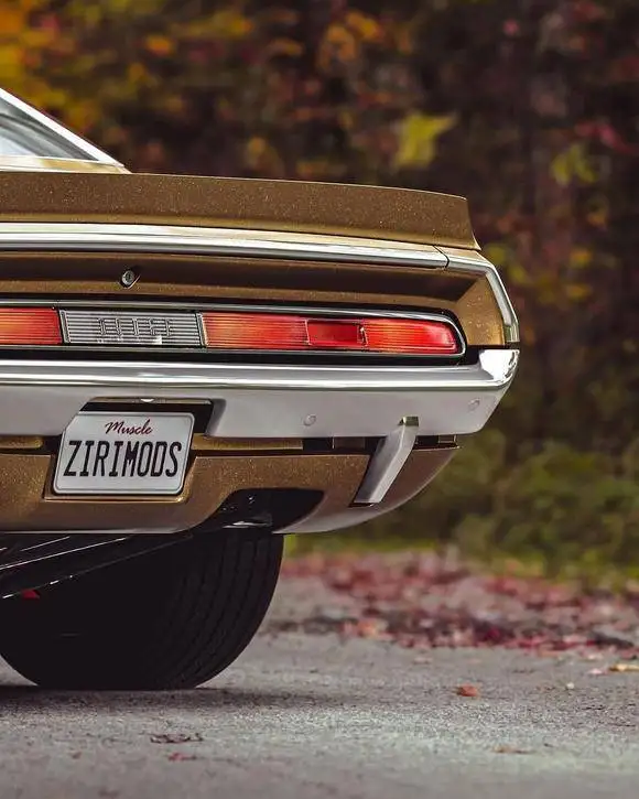 تصاویر؛ چلنجر 1970؛ زیبایی ببینیم