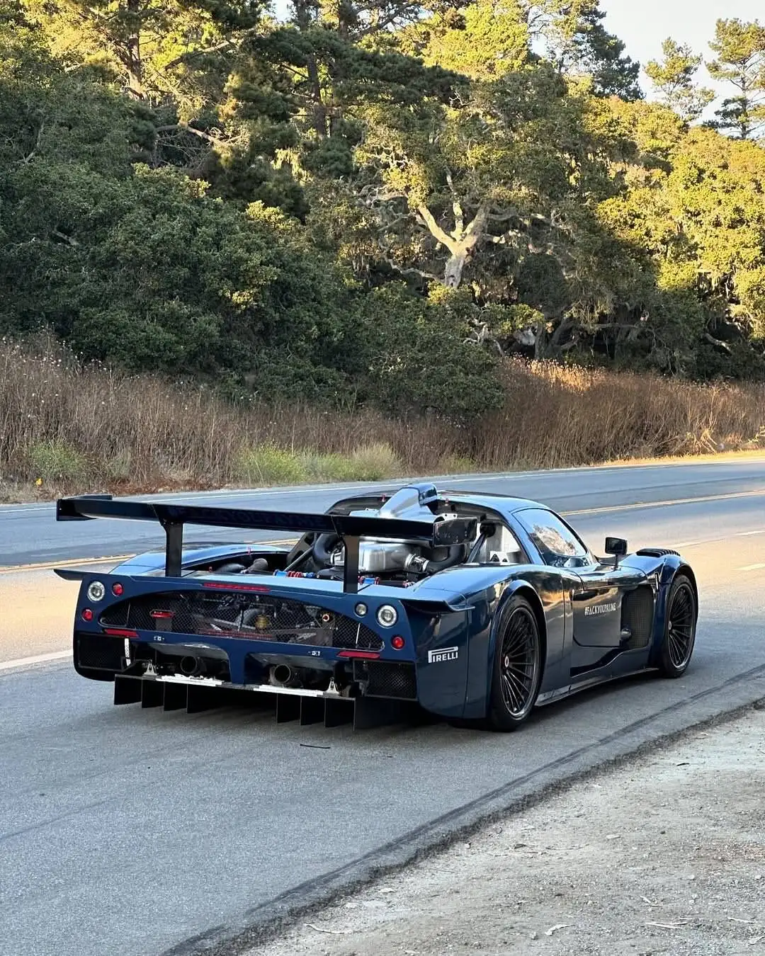 تصاویر؛ فقط 12 نفر در جهان می توانند این هیولا را لمس کنند! 