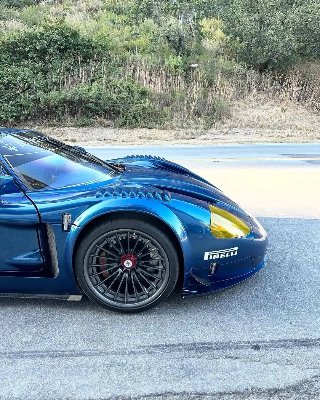 تصاویر؛ فقط 12 نفر در جهان می توانند این هیولا را لمس کنند! 