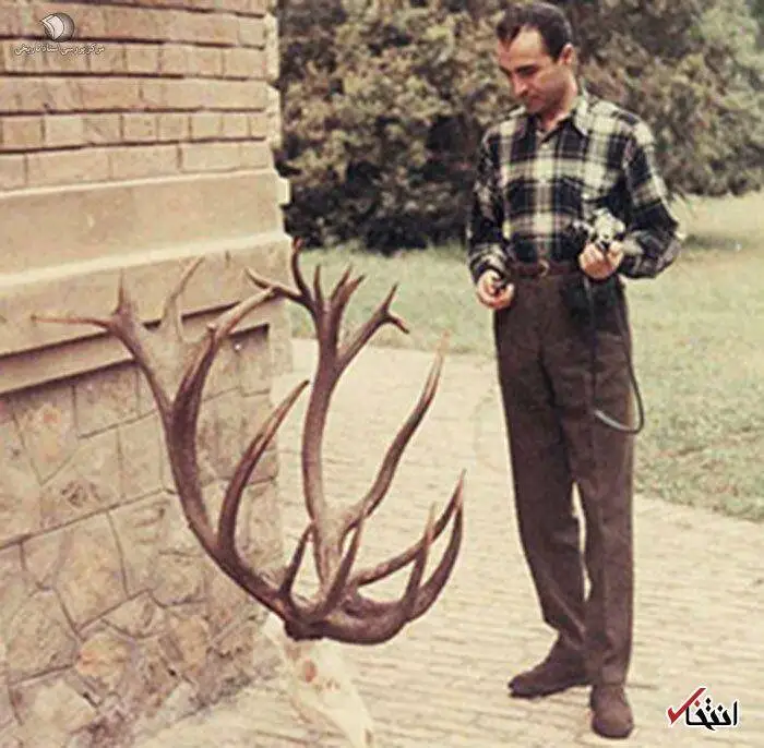 عکس؛ سفر در تاریخ؛ شاهزاده شکارچی در آفریقا