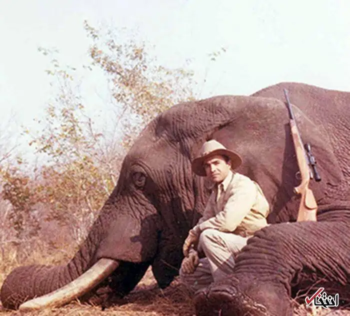 عکس؛ سفر در تاریخ؛ شاهزاده شکارچی در آفریقا
