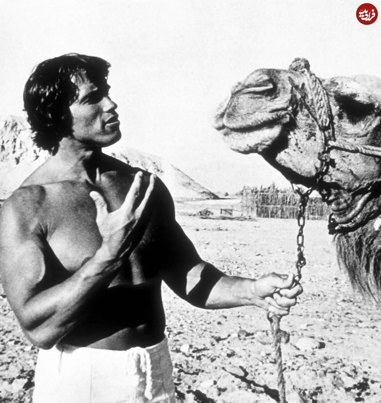 عکس؛ سفر در زمان؛ «آرنولدِ 30 ساله در حال صحبت کردن با یک شتر»؛ سال 1355