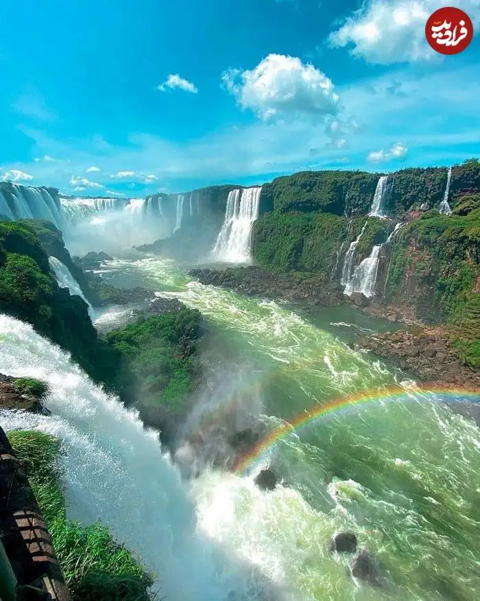 تصاویر؛ قاب های ناب و متفاوت از حیات وحش؛ از «تولد مار» تا «استراحتگاه بز کوهی»