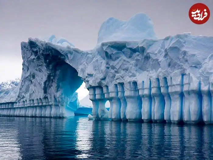 تصاویر؛ قاب های ناب و متفاوت از حیات وحش؛ از «تولد مار» تا «استراحتگاه بز کوهی»