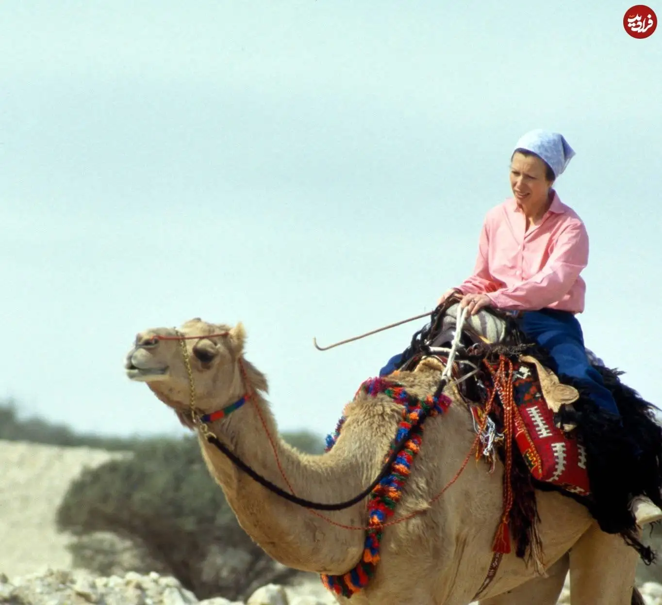 عکس؛ سفر در زمان؛ «شاهدخت آن، دختر ملکه الیزابت در حال شترسواری در قطر»؛ سال 1365