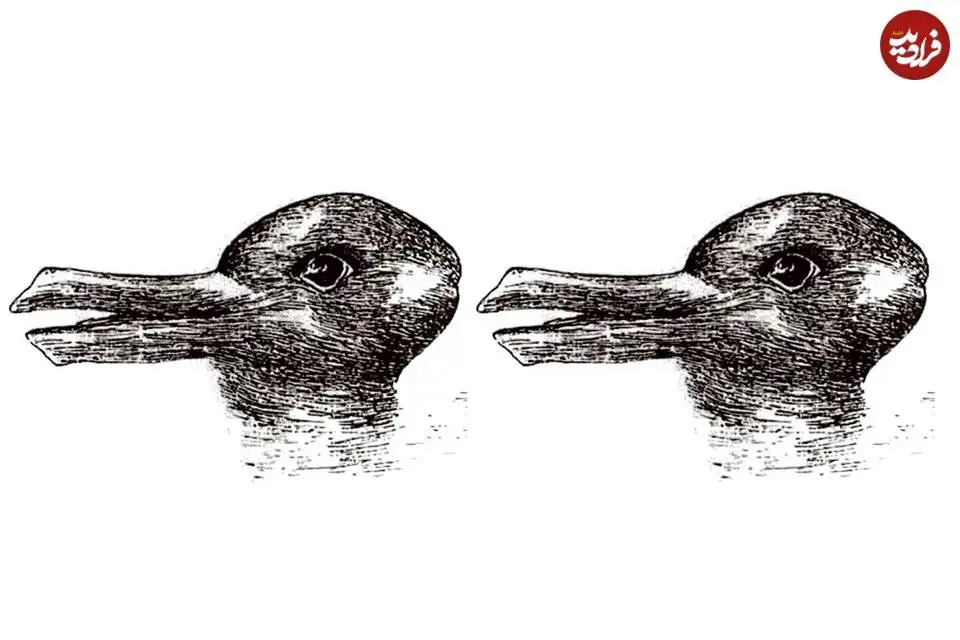 تصاویر؛ مشهورترین «خطاهای دید» که باعث می شوند به چشمانتان اعتماد نکنید 