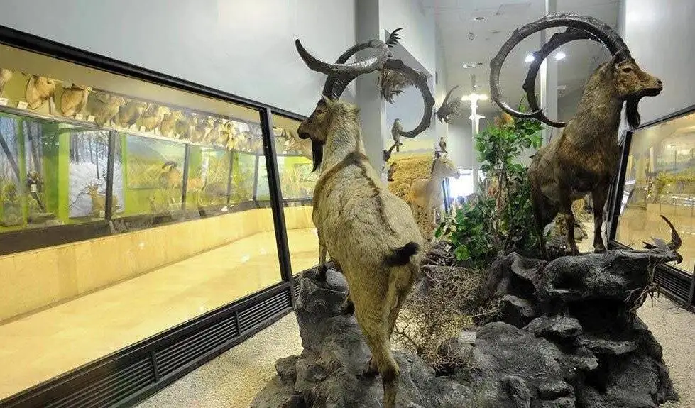 تصاویر؛ ریه سبز تهران در غرب را بیشتر بشناسید