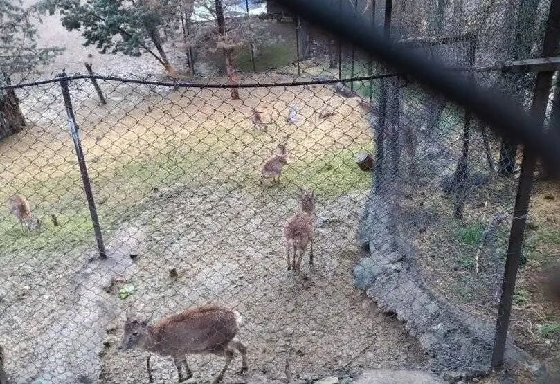 تصاویر؛ ریه سبز تهران در غرب را بیشتر بشناسید