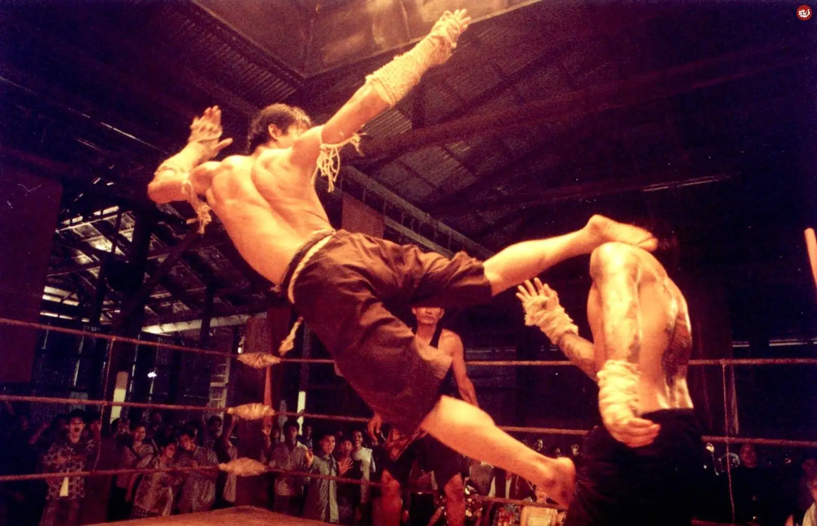 تصاویر؛ فهرست بهترین فیلم های رزمی تایلندی