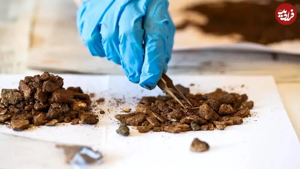 کشف «خاکستر انسان» و «شانه ای از جنس شاخ گوزن» در سطل برنزی 1400 ساله