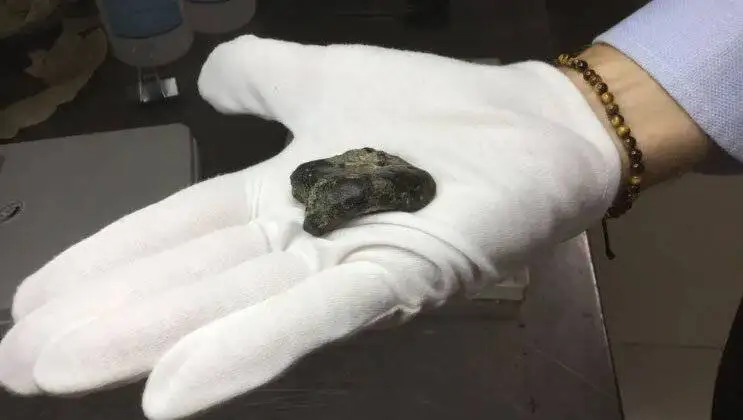 تصاویر؛ کشف شهر 140 هزار ساله از اعماق اقیانوس