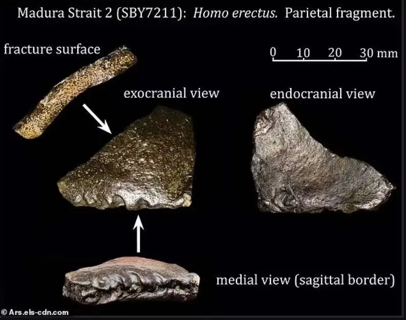 تصاویر؛ کشف شهر 140 هزار ساله از اعماق اقیانوس