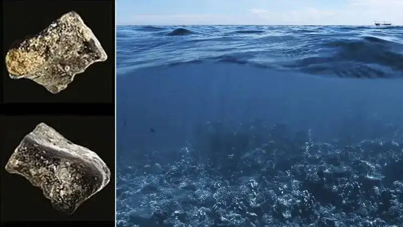 عکس؛ کشف شهر پنهان 140 هزار ساله در اعماق اقیانوس