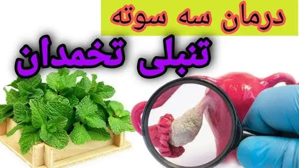 درمان تنبلی تخمدان در خانه ؛ بهترین روش های طبیعی و سریع تقویت تخمدان و تنظیم قاعدگی در منزل