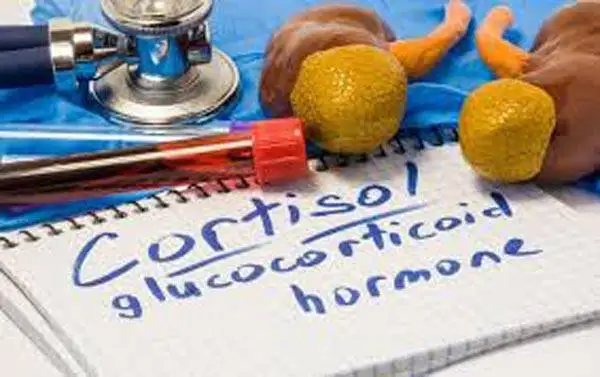 درمان قطعی و سریع کورتیزول بالا در مردان؛ روش های پزشکی و راهکارهای خانگی برای کنترل استرس