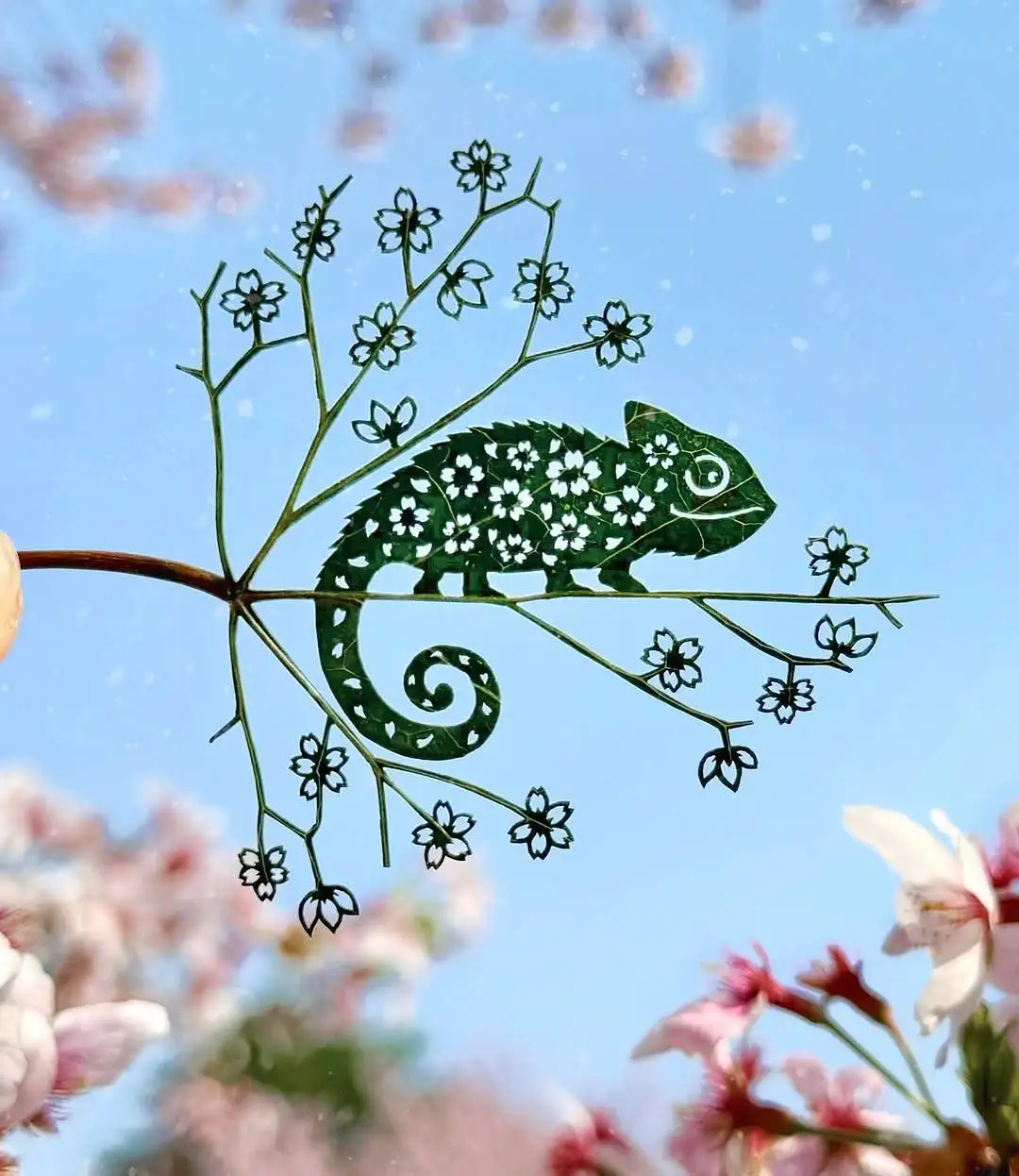 تصاویری زیبا و حیرت آور از هنرنمایی روی برگ درختان