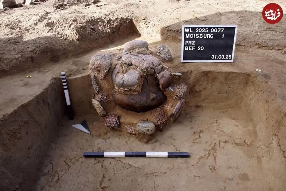 «کوزه های خاکستر مردگان» در جریان ساخت یک جاده از زیر خاک بیرون آمدند