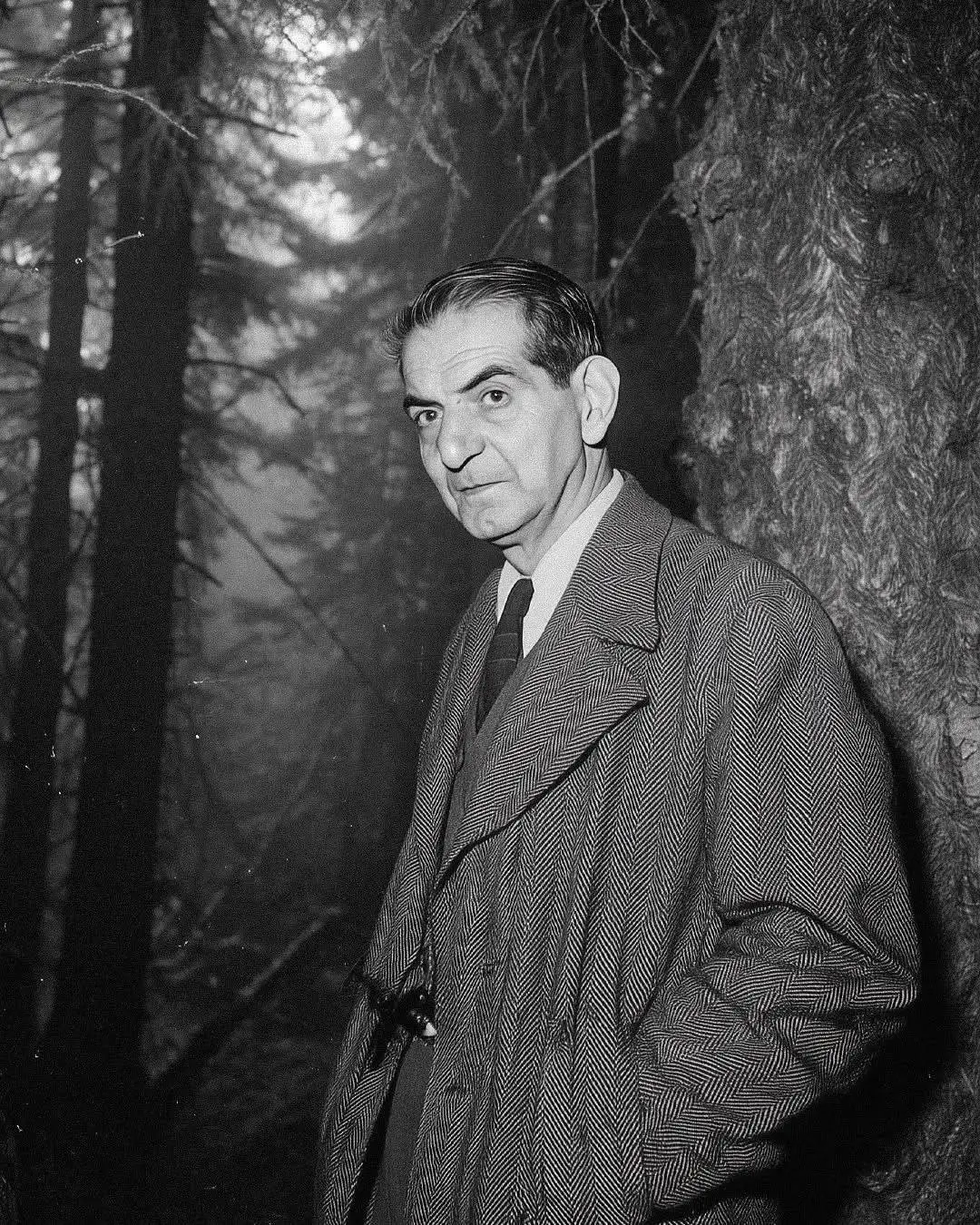 تصاویر هوش مصنوعی از مشاهیر ایرانی پربازدید شد