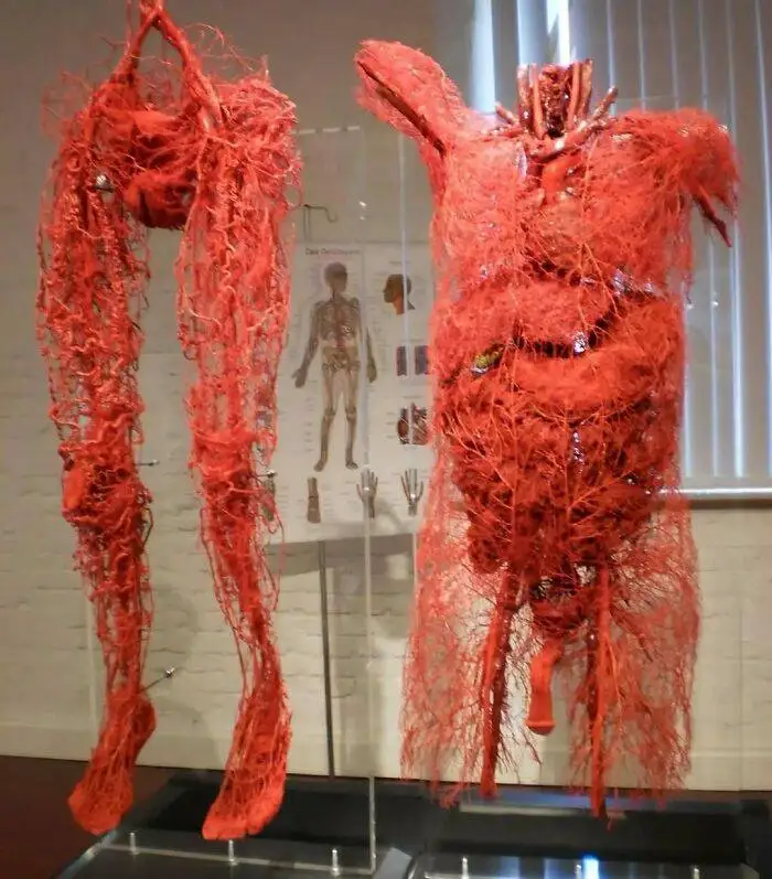 طعم گیلاس؟ آن ها با پزشکی مدرن به زندگی بازگشتند!