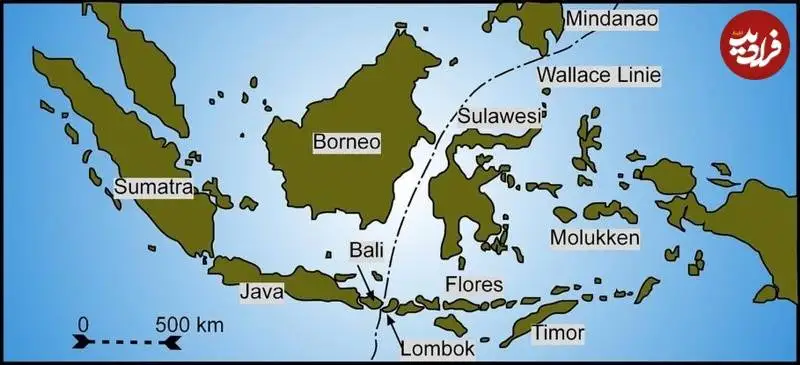 مرز «نامرئی» بین اندونزی و استرالیا که «حیوانات» از آن عبور نمی کنند