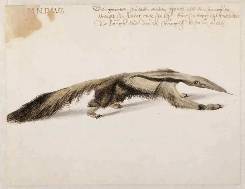 «نقاشی 7 میلیون دلاری» که در یک انباری زیرشیروانی پیدا شد