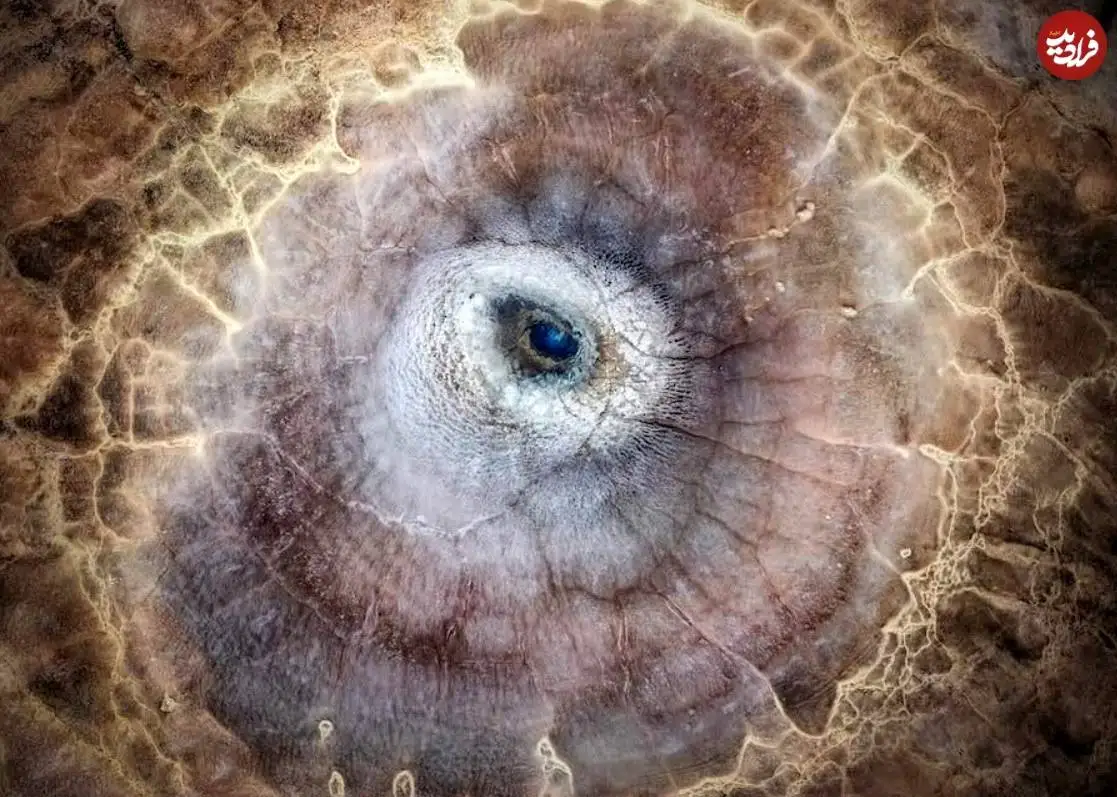 تصاویر؛ 6 شاهکار عکاسی که برندۀ مسابقه عکس «نشنال جئوگرافیک» شدند