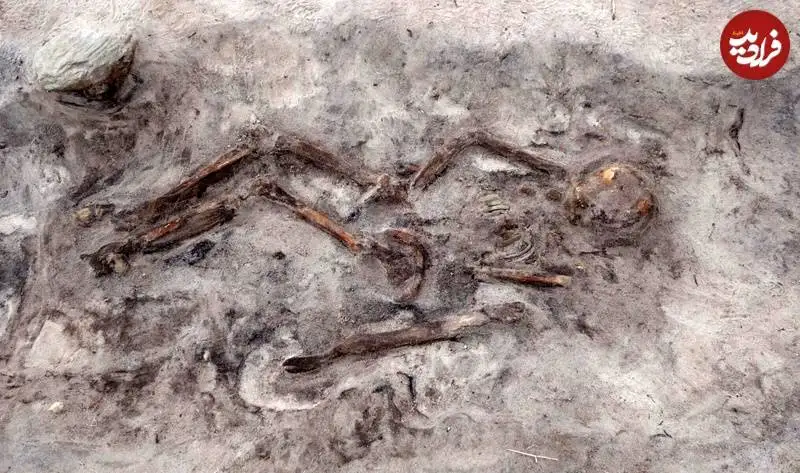 کشف مقبرۀ هزار سالۀ «زن وایکینگ و سگ وفادارش» که در یک «قایق» دفن شده بودند