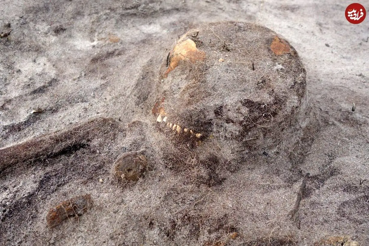 کشف مقبرۀ هزار سالۀ «زن وایکینگ و سگ وفادارش» که در یک «قایق» دفن شده بودند