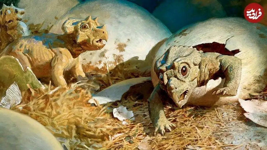 دایناسورها چند تخم می گذاشتند و جوجه هایشان چگونه بزرگ می شدند؟