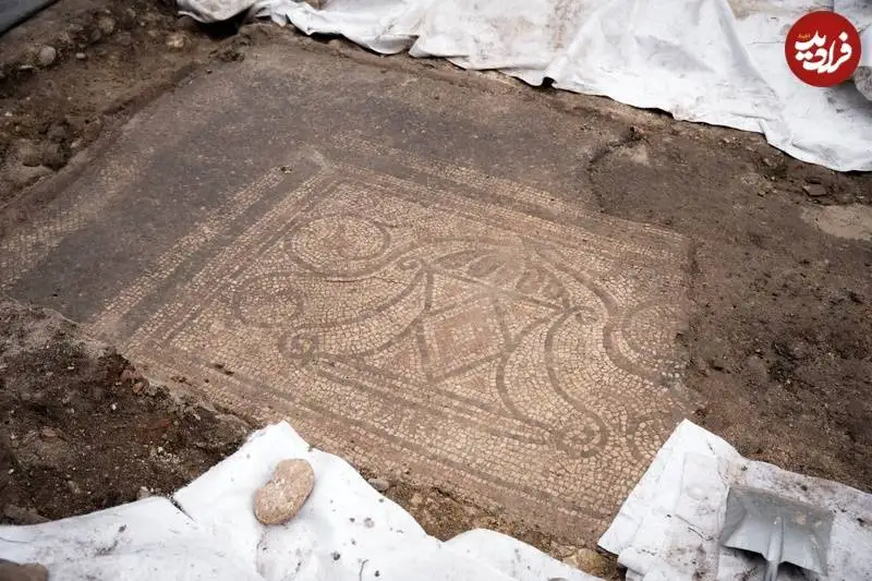 ویلای دو هزارساله با «موزاییک های دلفینی» در دل جنگل کشف شد