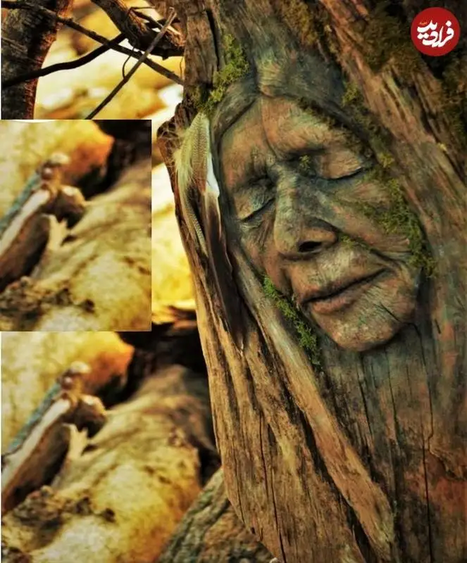 تصاویر؛ خلاقیت هنرمند کانادایی که «چهره ها» را از دل چوب های پیچ خورده بیرون می کشد