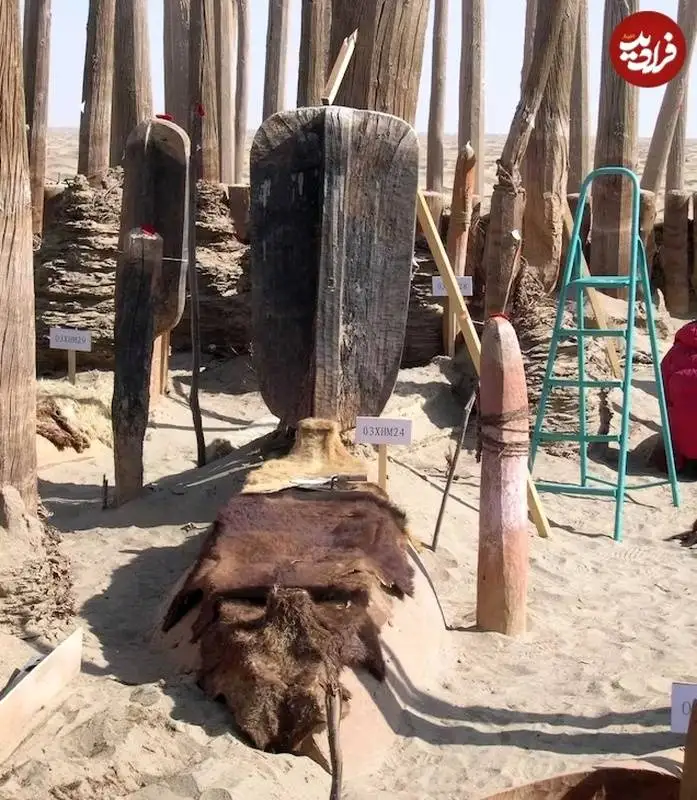 قایق های 4 هزار ساله ای که در یکی از خشک ترین بیابان های دنیا دفن شده بودند