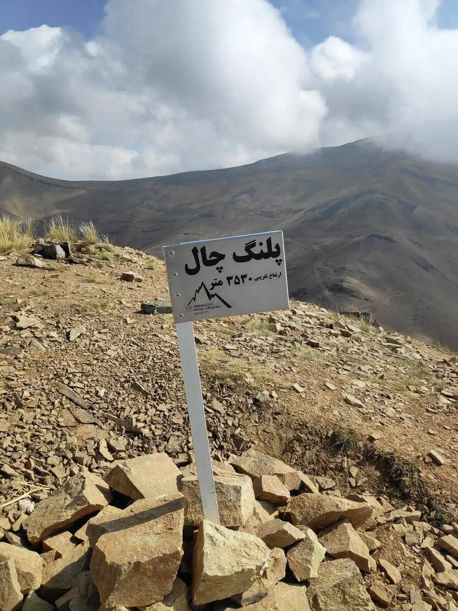 عکس؛ قله ای به نام پلنگ های تهران