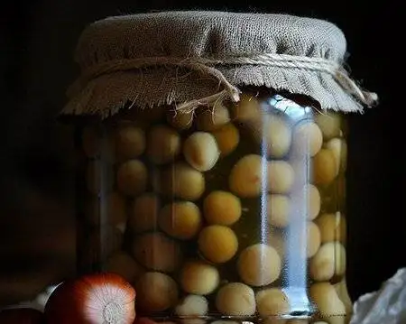 ترشی فندق؛ چاشنی خوشمزه غنی از پروتئین و فیبر