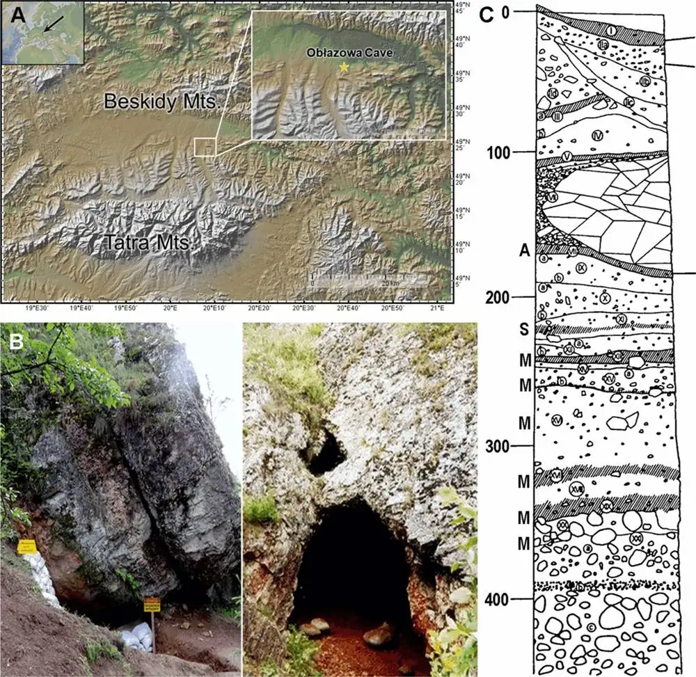 «بومرنگ» 40 هزار ساله از جنس «عاج ماموت» در این غار کشف شد