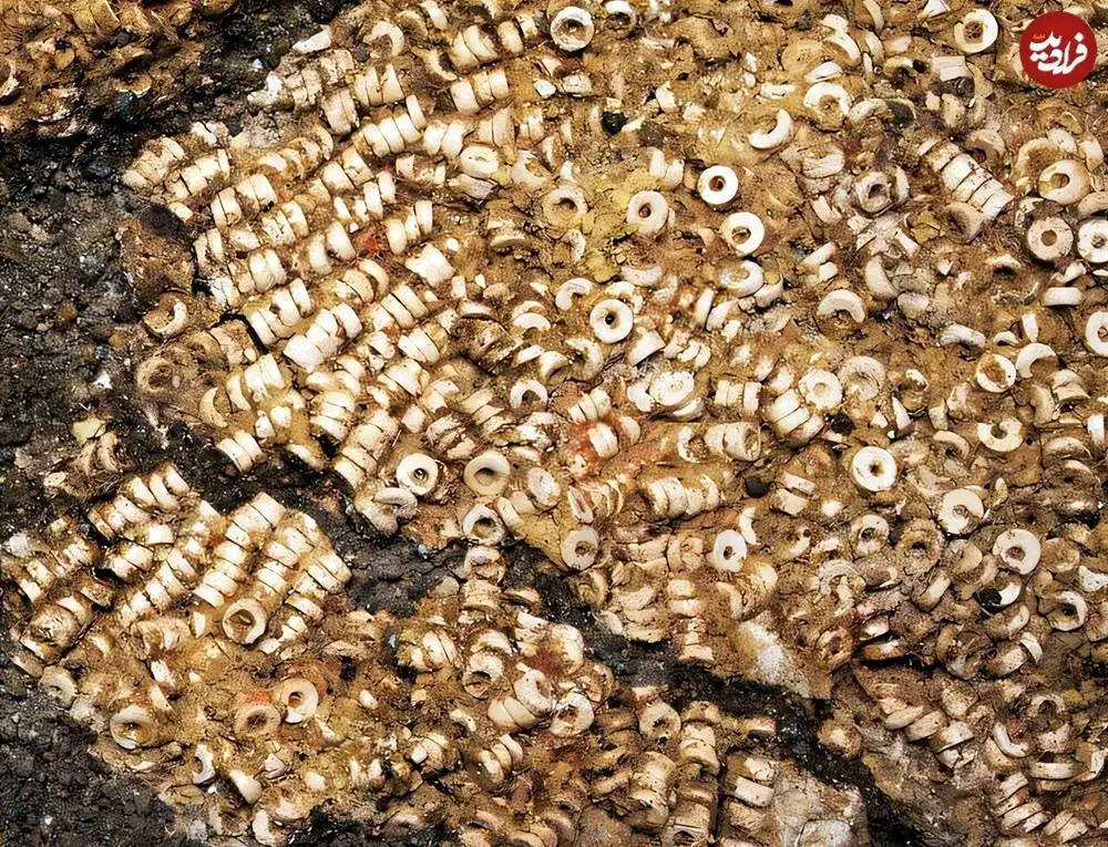 کشف مجموعۀ حیرت انگیز هزاران «مهرۀ صدفی» در یک مقبره باستانی