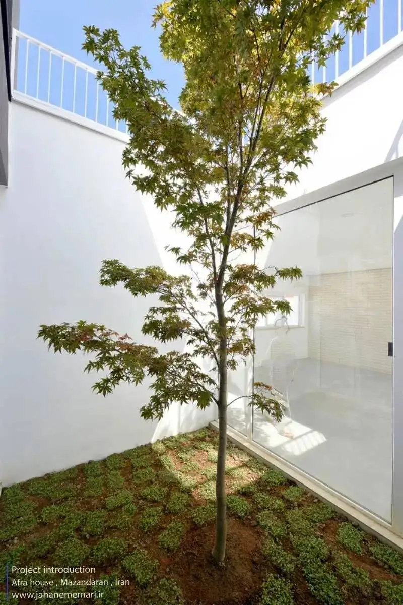 تصاویر؛ افرا؛ خانه ی خاص مازندرانی برنده جوایز معماری شد