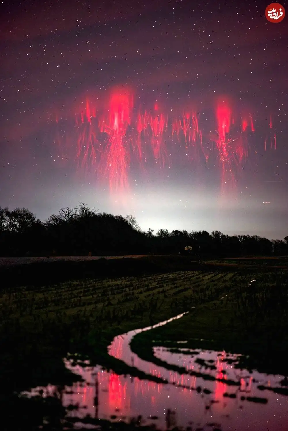 از برق های قرمز تا ارواح سبز؛ مرموزترین شکل های «رعد و برق» روی سیاره زمین