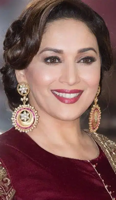 تصاویر؛ عکس های  شخصی، زندگی خصوصی و بیوگرافی مدهوری دیکشیت