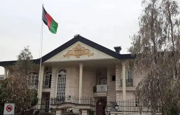 هیاهوی خانوادگی نوید محمدزاده از ماجرای اخراج اتباع