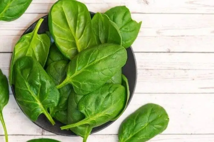 خورش اسپناساک؛ قدیمی و خوشمزه ترین غذای شمالی