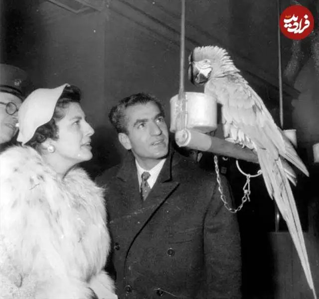 عکس؛ سفر در زمان؛ «ثریا و محمدرضا پهلوی» در حال حرف زدن با طوطی؛ دهه 30