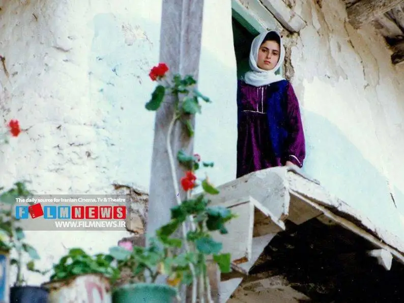 نگاهی به مفهوم «اهمیت زندگی» در پنج اثر مهم عباس کیارستمی به بهانه سال روز درگذشت این کارگردان محبوب؛ زندگی زیباست