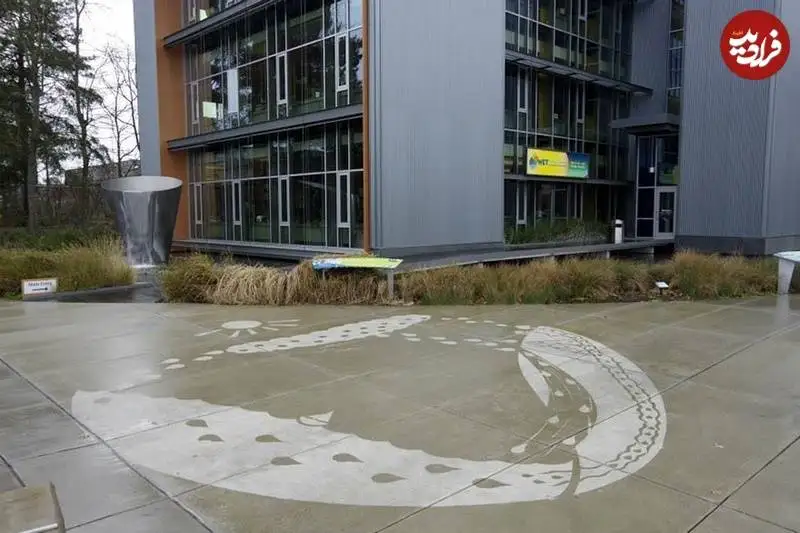 نقاشی های خلاقانه ای که فقط زیر باران دیده می شوند