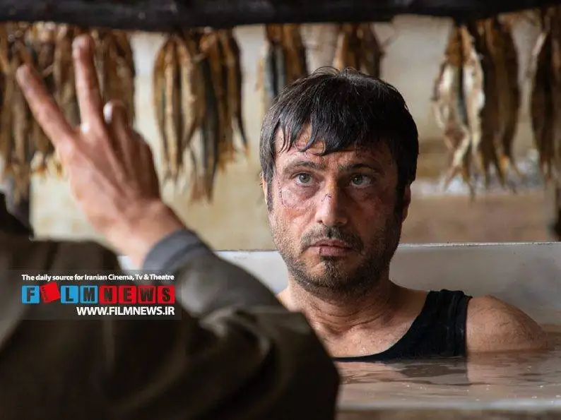 درباره 12 ستاره ای که قرار است با سریال های جدید بیایند؛ تابستان پرستاره شبکه خانگی