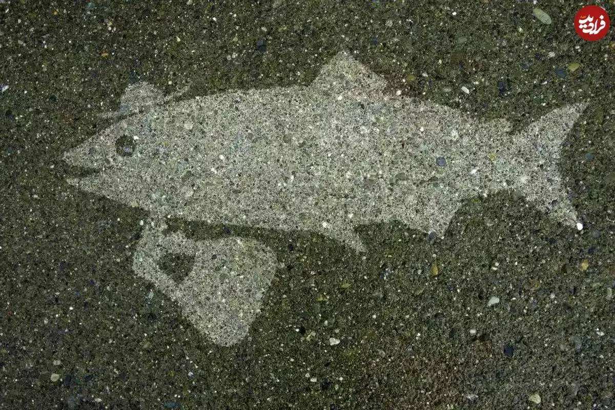 نقاشی های خلاقانه ای که فقط زیر باران دیده می شوند