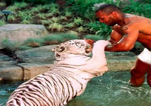 تصاویر کلکسیون های این افراد مشهور متعجبتان می کند!