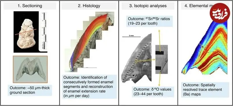 ایرانی ها یازده هزار سال قبل «مهمانی های باشکوه» برگزار می کردند