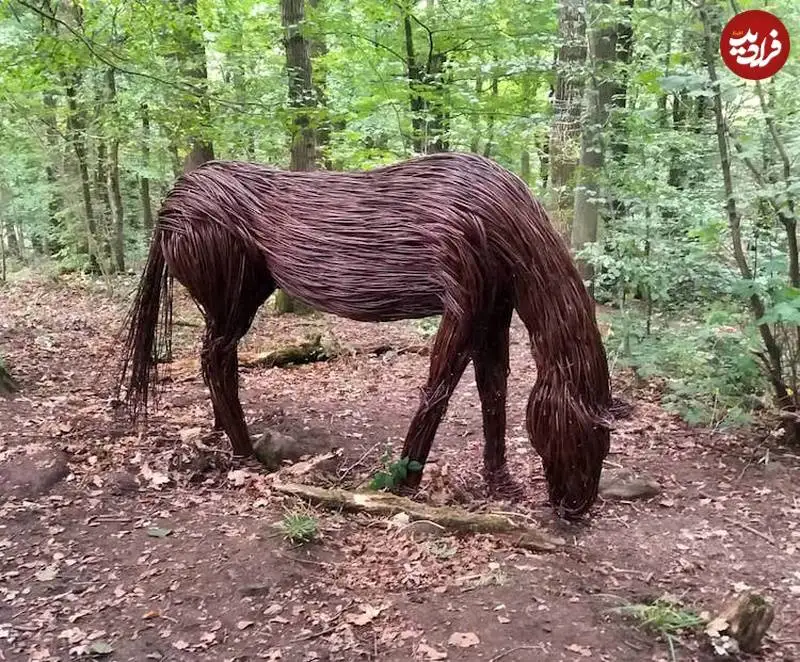 تصاویر؛ شاهکارهای مجسمه سازی که از «شاخۀ درخت بید» بافته شده اند