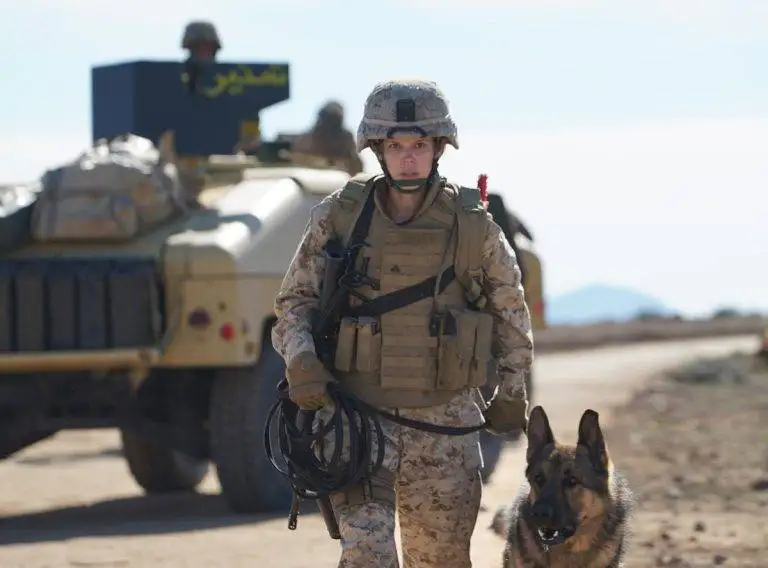 تصاویر؛ 10 فیلم جنگی دیدنی و جذاب در مورد جنگ عراق؛ از the messenger تا megan leavey